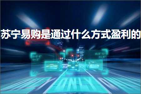 跨境电商知识:苏宁易购是通过什么方式盈利的