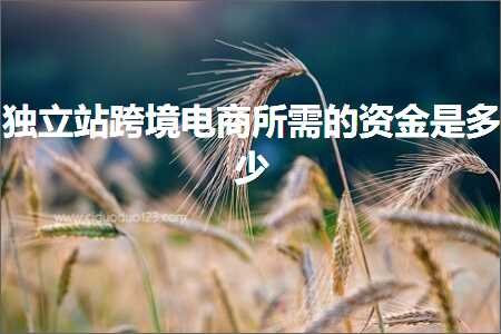 跨境电商知识:独立站跨境电商所需的资金是多少